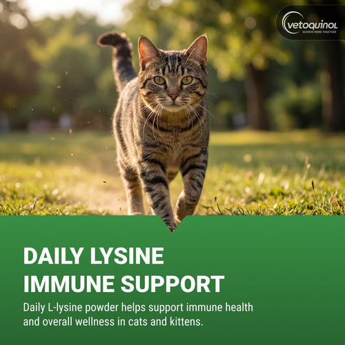 Feline Wellness Lysine Supplement