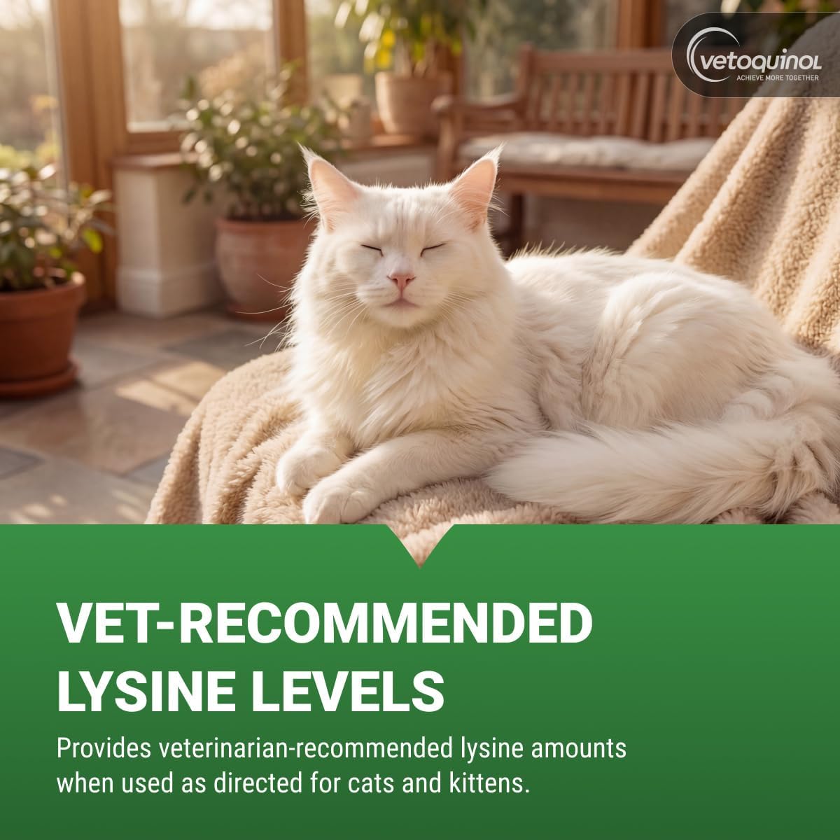 Feline Wellness Lysine Supplement