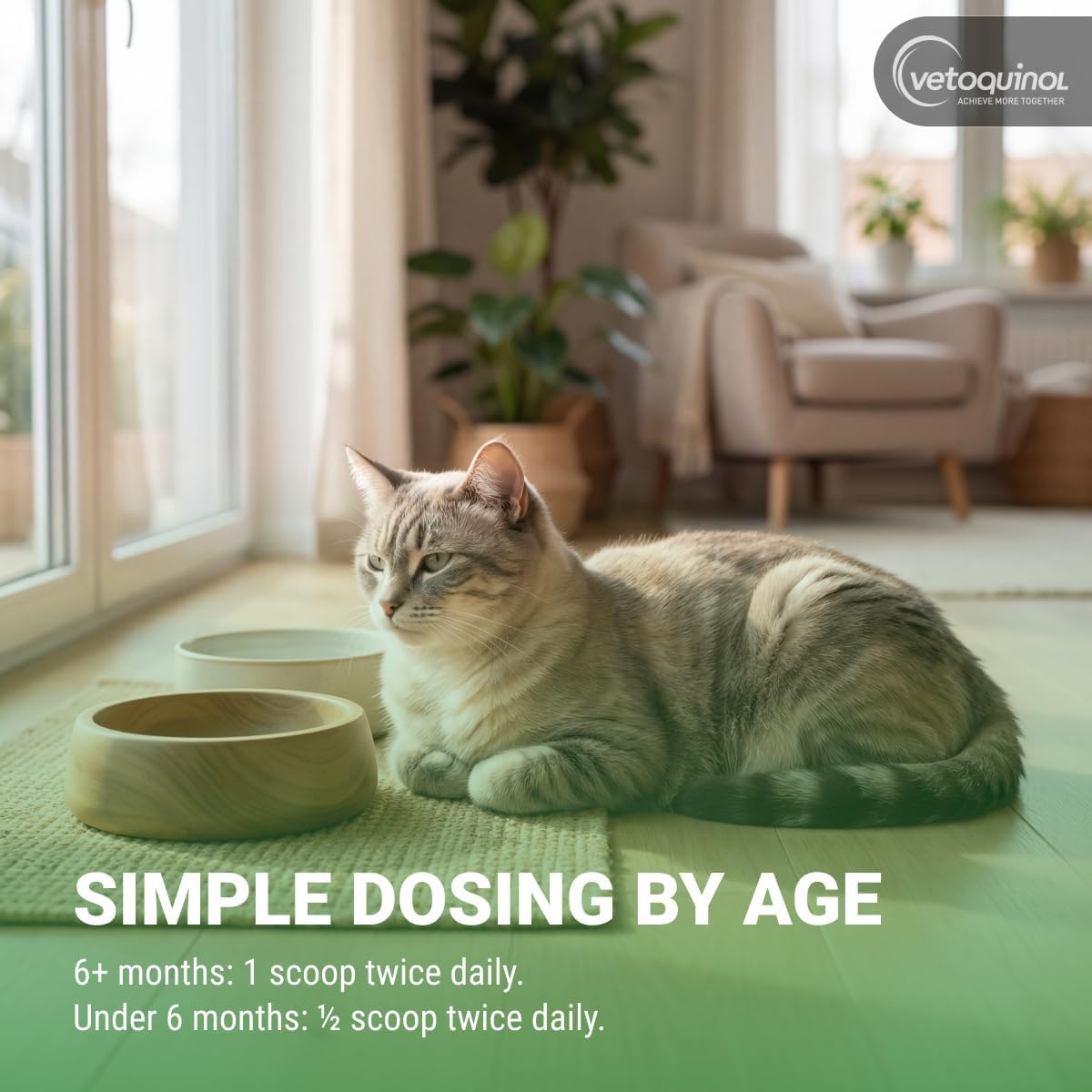 Feline Wellness Lysine Supplement