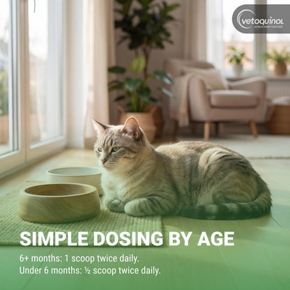 Feline Wellness Lysine Supplement