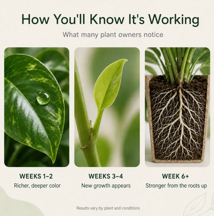 Cerevia Natural Houseplant Food