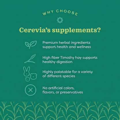 Cerevia Rabbit Daily Gut Support