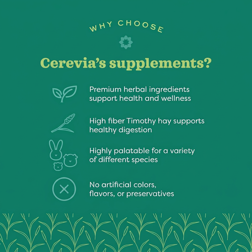 Cerevia Rabbit Daily Gut Support